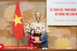 Vụ trưởng Vụ Tín dụng Ngân hàng Nhà nước giữ chức Trợ lý Phó Chủ tịch Quốc hội