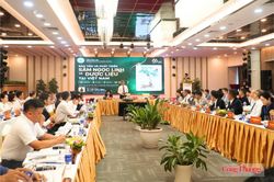 Tìm lời giải đưa Sâm Ngọc Linh thành thương hiệu toàn cầu