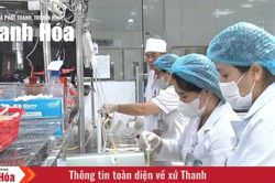Phía sau những giọt máu an toàn