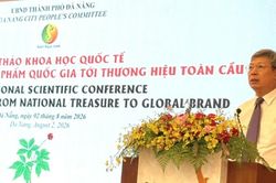 Sâm Ngọc Linh: Từ Quốc bảo Việt Nam đến thương hiệu toàn cầu