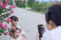 Đường hoa tường vi níu chân du khách