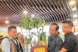 Một củ sâm Ngọc Linh trên 35 tuổi đấu giá thành công 725 triệu đồng