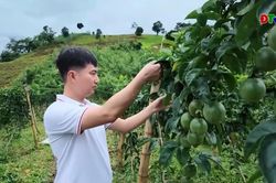 Talk show: Cú hích cho sản xuất nông nghiệp xanh, thông minh, bền vững