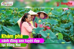 [Video] Khám phá cánh đồng sen tuyệt đẹp tại Đồng Nai