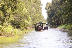 'Giữ hồn' Đồng Tháp Mười từ những trải nghiệm bản địa