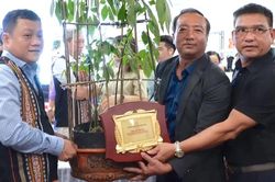 Trường Sinh Group đấu giá thành công cây Sâm Ngọc Linh 35 năm tuổi