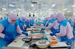 Kim ngạch xuất khẩu của tỉnh Gia Lai vượt 2,35 tỷ USD