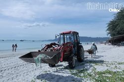 Phường Đông Ninh Hòa: Chú trọng giữ gìn môi trường biển