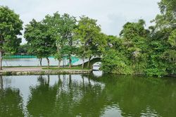 Hồ Truyền Thống - Lá phổi xanh giữa lòng đô thị