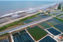 Ứng dụng công nghệ cao trong nuôi trồng thủy sản ở các xã ven biển