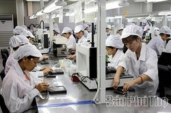 Từ hợp nhất đến thống nhất - sự hưởng lợi của nền kinh tế - Kỳ 1: Lợi ích bền vững