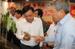 Đà Nẵng: Khai mạc lễ hội sâm Ngọc Linh - Tinh hoa dược liệu thế giới