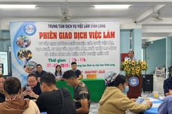 Vĩnh Long: Đổi mới phương thức kết nối giữa người lao động và doanh nghiệp