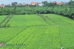 Chương trình hành động của Bộ Chính trị thực hiện Kết luận 75 về bảo vệ môi trường