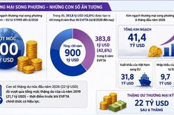 6 năm EVFTA: Tối ưu hóa lợi thế cạnh tranh và dư địa hợp tác song phương