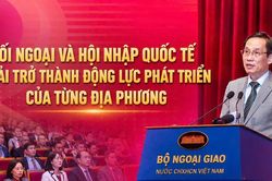 Đối ngoại và hợp tác quốc tế phải trở thành động lực phát triển của từng địa phương