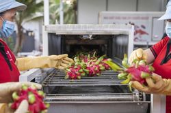 Minh bạch việc cấp mã số vùng trồng, tránh bị lợi dụng kiểu 'giấy phép con'