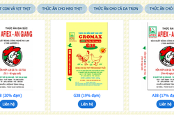 Afiex (AFX) báo lãi quý II tăng gần 40%, mạnh tay rót hơn 220 tỷ đồng vào cổ phiếu VIC