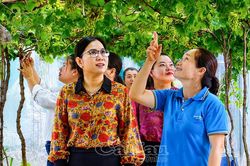 VAC tuần hoàn - hướng mở cho nông nghiệp xanh