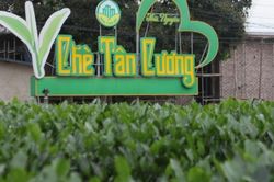 X&acirc;y dựng hạ tầng kinh tế tuần ho&agrave;n, kinh tế xanh - Động lực cho ph&aacute;t triển nhanh v&agrave; bền vững