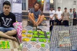 Thủ đoạn tinh vi của đường dây ma túy 'đội lốt' Pod Chill xuyên biên giới