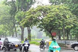 Bắc Bộ tiếp tục mưa dông, cục bộ có nơi mưa to