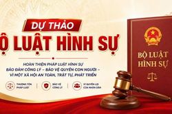 Phó Chủ nhiệm Đoàn Luật sư thành phố Hà Nội góp ý về đề xuất nộp tiền để được hưởng án treo
