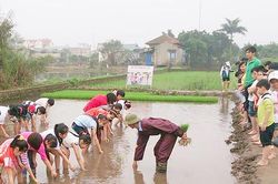 Định hình hướng đi bài bản, khoa học cho mô hình 'nông thôn sáng tạo'