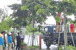 Việc nhỏ, thay đổi lớn