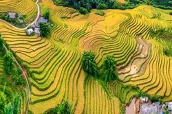 Lào Cai: Cho vay ưu đãi để khơi thông nguồn lực phát triển du lịch cộng đồng