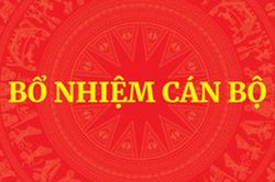 QUY ĐỊNH MỚI: Tiêu chuẩn, điều kiện bổ nhiệm công chức giữ chức vụ lãnh đạo, quản lý