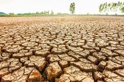 Chủ động ứng ph&oacute; trước nguy cơ El Nino cường độ mạnh