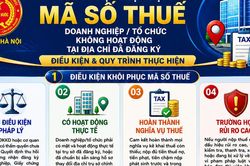 Hướng dẫn kh&ocirc;i phục hiệu lực m&atilde; số thuế doanh nghiệp, tổ chức kh&ocirc;ng hoạt động tại địa chỉ đ&atilde; đăng k&yacute;