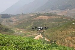 Cơ hội để nông nghiệp Việt Nam bứt tốc