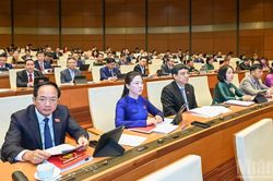 Sửa Luật Hải quan: Cải cách thủ tục hải quan, thúc đẩy sự tuân thủ tự nguyện
