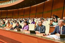Tr&igrave;nh Quốc hội cơ chế đặc th&ugrave; xử l&yacute; vi phạm li&ecirc;n quan kinh tế Nh&agrave; nước, kinh tế tư nh&acirc;n