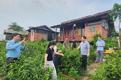 Để cây chè trở thành động lực phát triển bền vững ở Minh Đài
