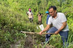 Sản xuất nông, lâm nghiệp và thủy sản 7 tháng qua duy trì ổn định