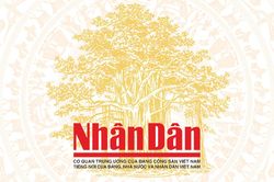 Đặt tên mới cho 51 tuyến đường, phố trong năm 2026