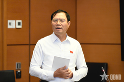 Đại biểu Quốc hội: Cần giữ điều kiện kinh doanh với loại hình kinh doanh tàu bay không người lái