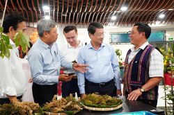 Nhiều hoạt động phong phú tại Lễ hội Sâm Ngọc Linh và Dược liệu quốc tế Đà Nẵng 2026