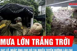 Mưa lớn gây sạt lở, ngập úng cục bộ tại nhiều tuyến đường Lào Cai