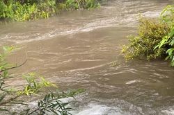 Thanh Hóa: Tìm nguyên nhân hiện tượng nước đổi màu, có mùi hôi tanh