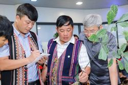 'Hoa hậu' s&acirc;m Ngọc Linh 35 năm tuổi chốt gi&aacute; 725 triệu đồng