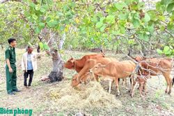 Trao sinh kế, giúp nhân dân ổn định cuộc sống ở khu vực biên giới