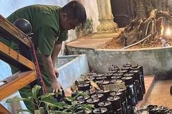 Phát hiện nhiều bình khí N₂O nghi dùng để kinh doanh 'bóng cười' tại 129 Club