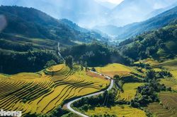Ruộng bậc thang Tây Bắc mùa lúa chín đẹp như tranh
