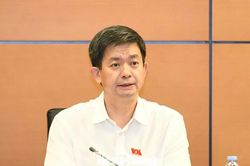 Bí thư An Giang: Dự án APEC có nghị quyết sẽ 'tạo niềm tin cho anh em'