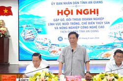 Đối thoại với doanh nghiệp, Chủ tịch An Giang yêu cầu gì với giám đốc sở ngành?