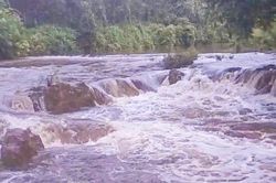 Nước suối đổi màu, đề nghị công an làm rõ